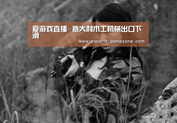 爱游戏直播-意大利木工机械出口下滑(图1) 爱游戏