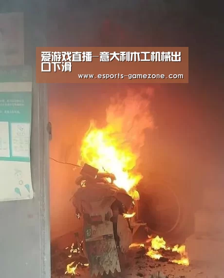 爱游戏直播-意大利木工机械出口下滑(图2) 爱游戏