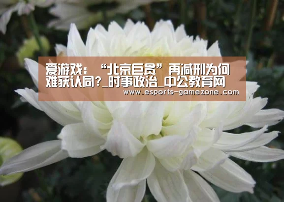 爱游戏:“北京巨贪”再减刑为何难获认同?_时事政治_中公教育网(图1) 爱游戏平台