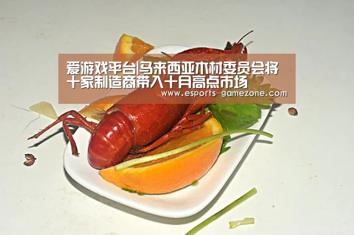 爱游戏平台|马来西亚木材委员会将十家制造商带入十月高点市场(图4) 爱游戏