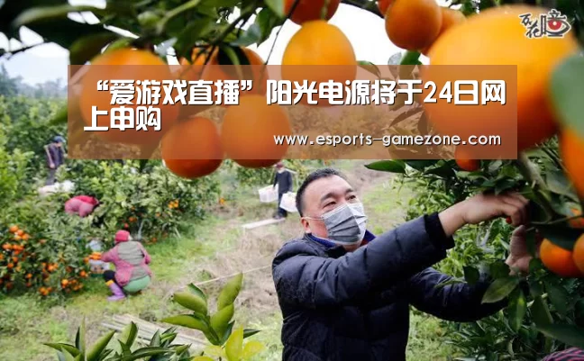 “爱游戏直播”阳光电源将于24日网上申购(图1) 爱游戏体育app