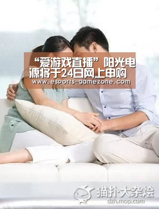 “爱游戏直播”阳光电源将于24日网上申购(图3) 爱游戏体育app